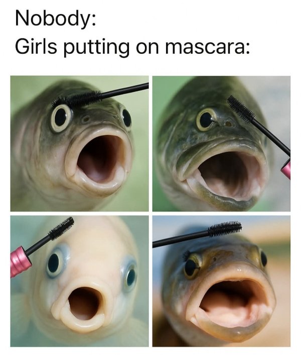 Funny Memes (31 pics)