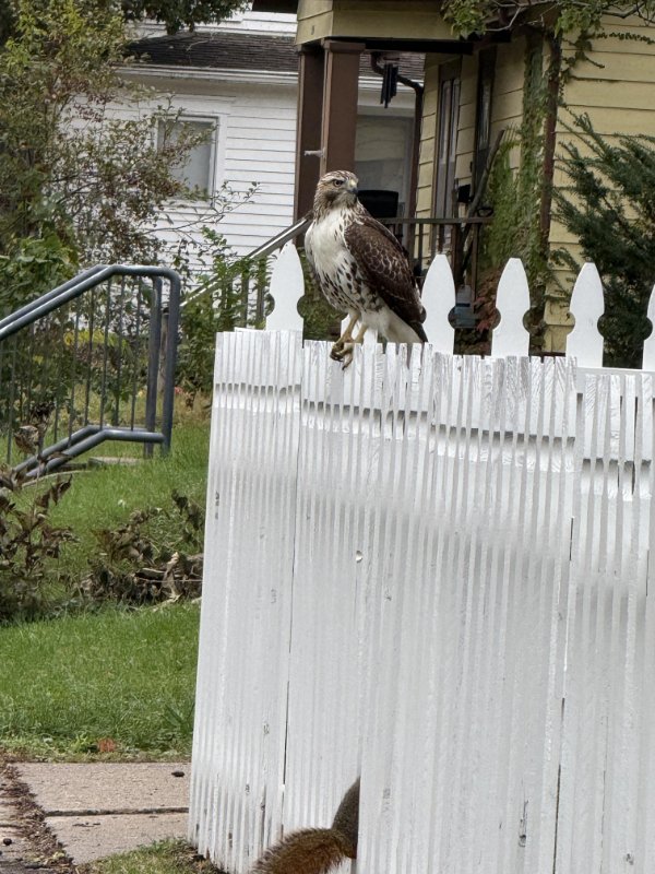 Interesting Finds And Discoveries (26 pics)