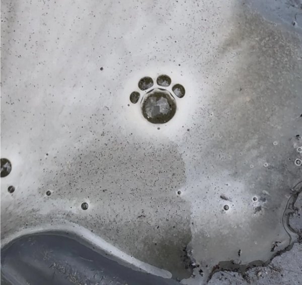 Interesting Finds And Discoveries (26 pics)