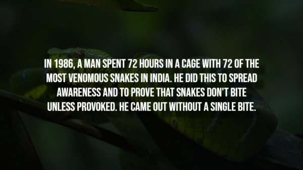 Creepy Facts (14 pics)