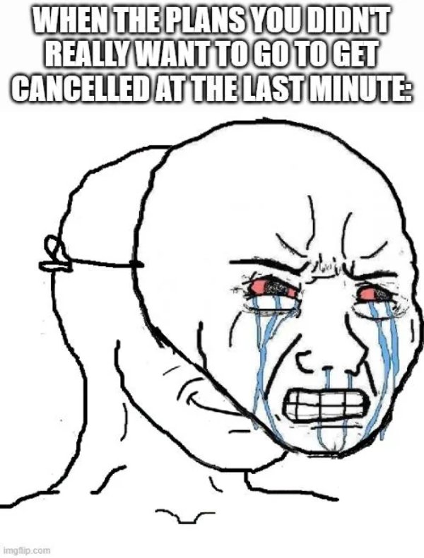 Random Memes (20 pics)