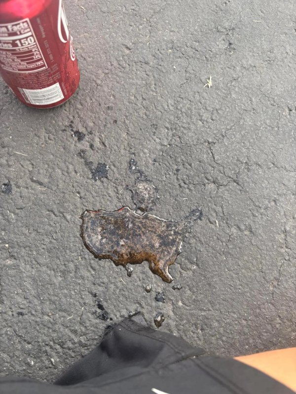 Interesting Finds And Discoveries (26 pics)