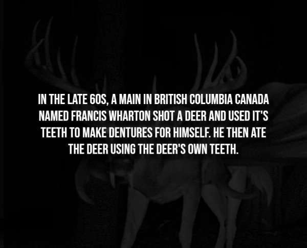Creepy Facts (14 pics)
