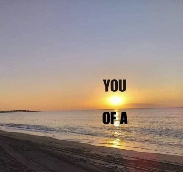 Jokes And Photos For A Good Mood (27 pics)