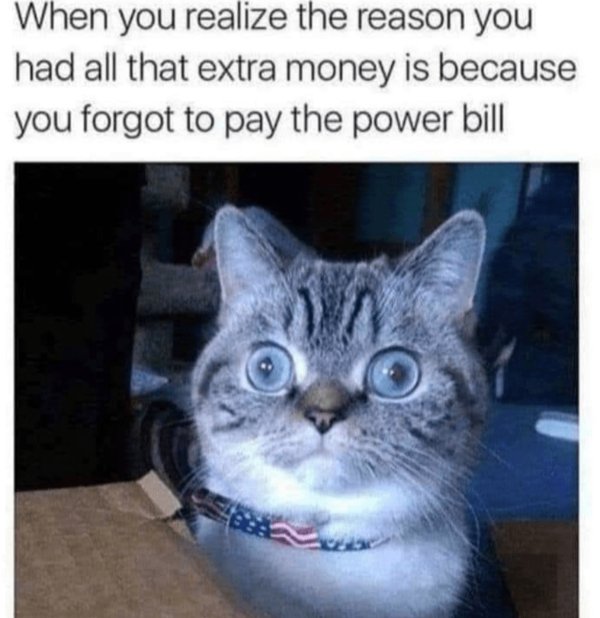 Memes For Cats Lovers (30 pics)