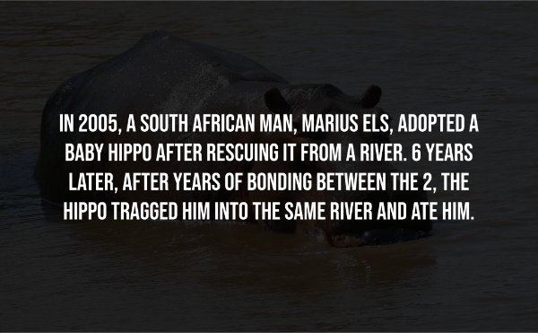 Creepy Facts (14 pics)