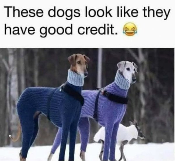 Funny Memes (31 pics)