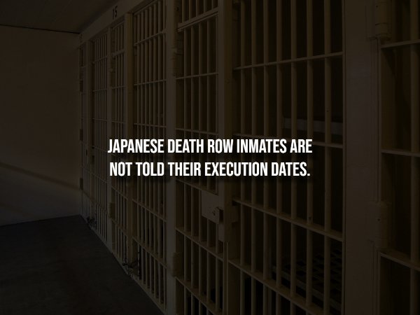 Creepy Facts (14 pics)