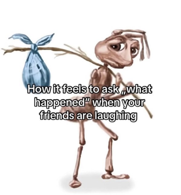 Random Memes (20 pics)