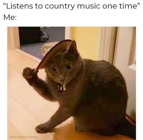Memes For Cats Lovers (30 pics)