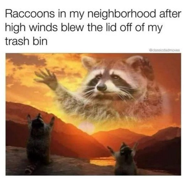 Funny Memes (31 pics)