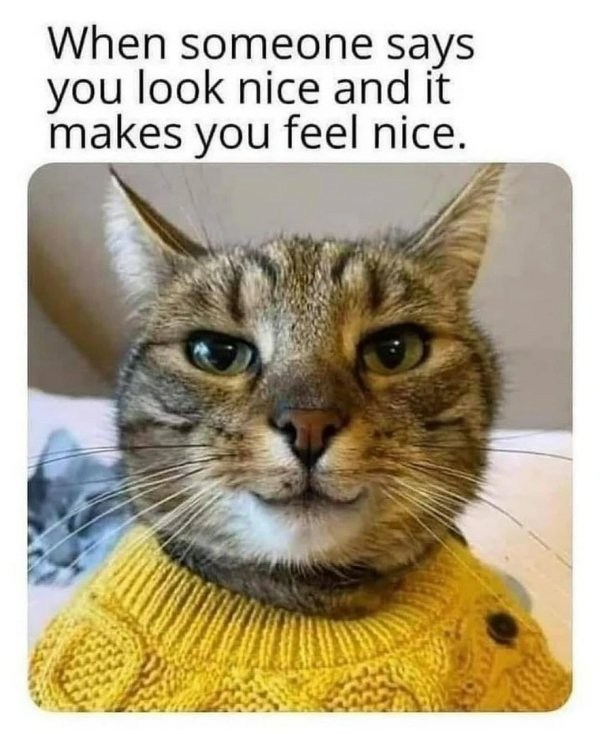 Funny Memes (31 pics)