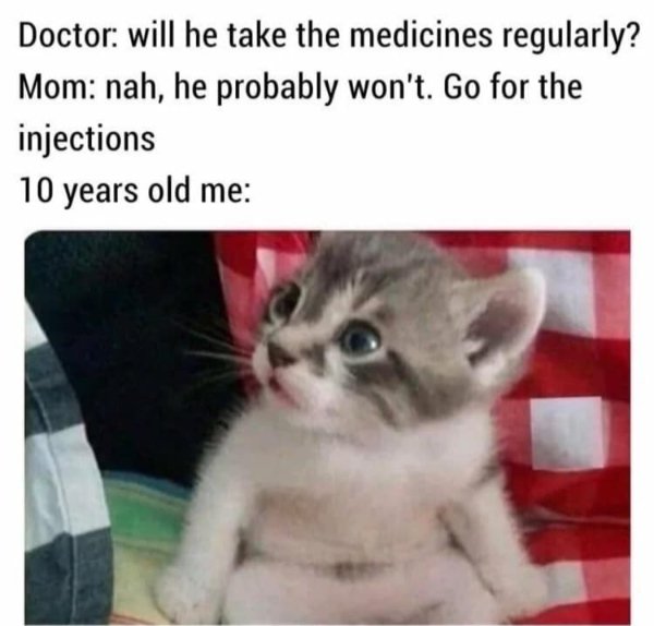 Memes For Cats Lovers (30 pics)