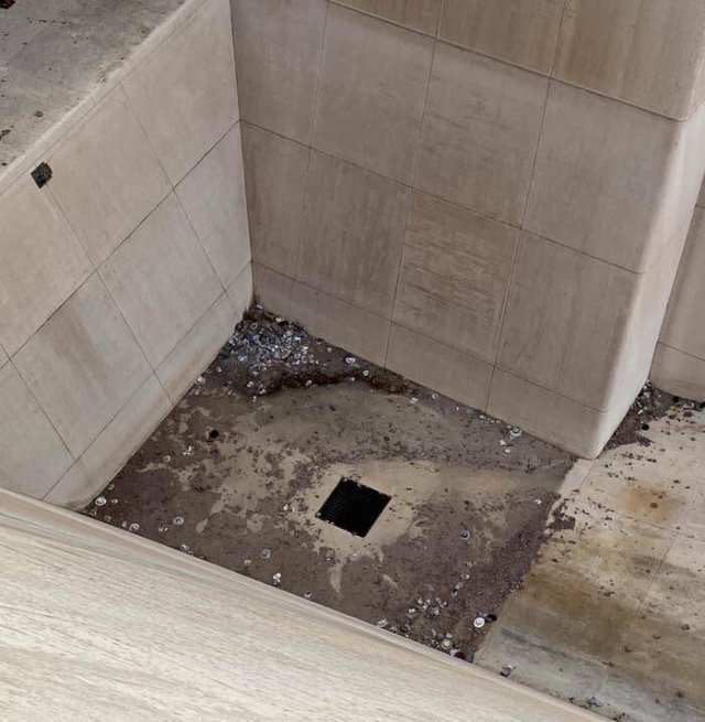 Interesting Finds (24 pics)