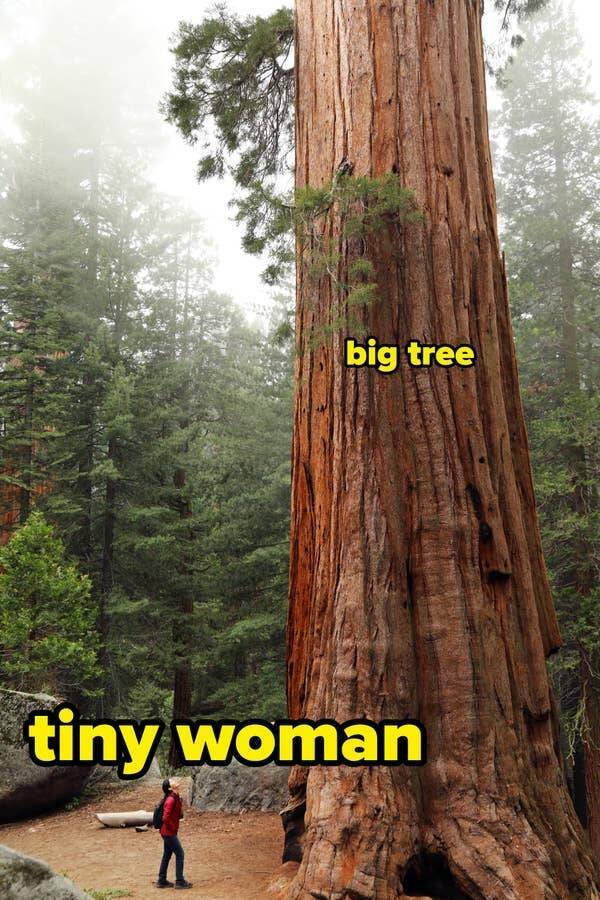 Interesting Finds (24 pics)