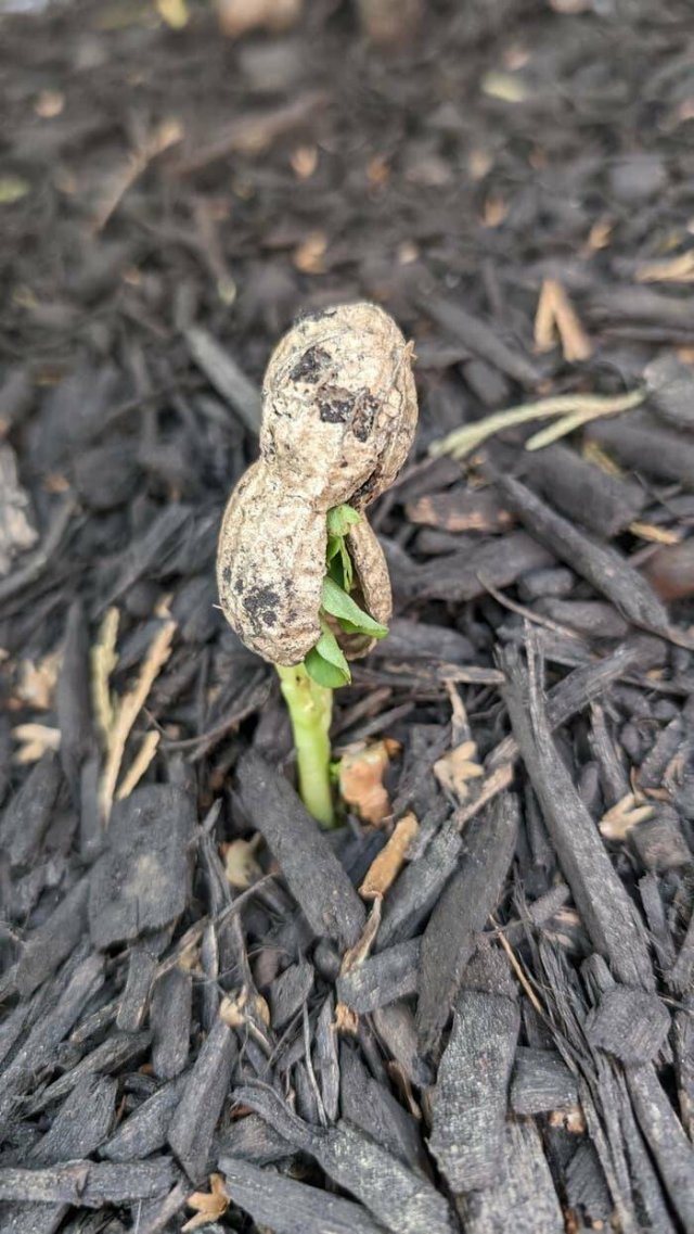 Interesting Finds (24 pics)