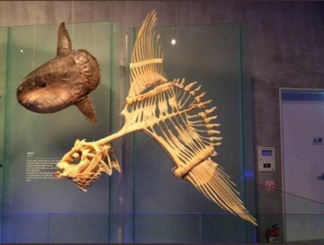 Interesting Finds (24 pics)