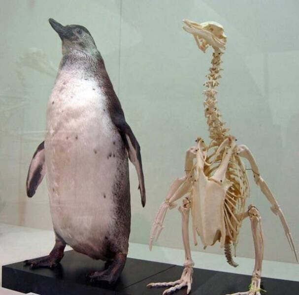 Interesting Finds (24 pics)