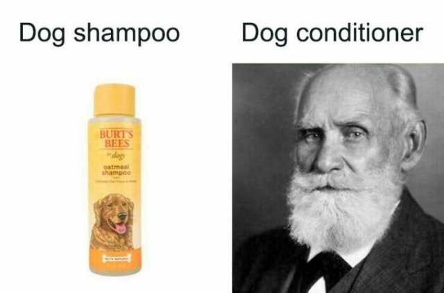 Memes About Psychology (23 pics)