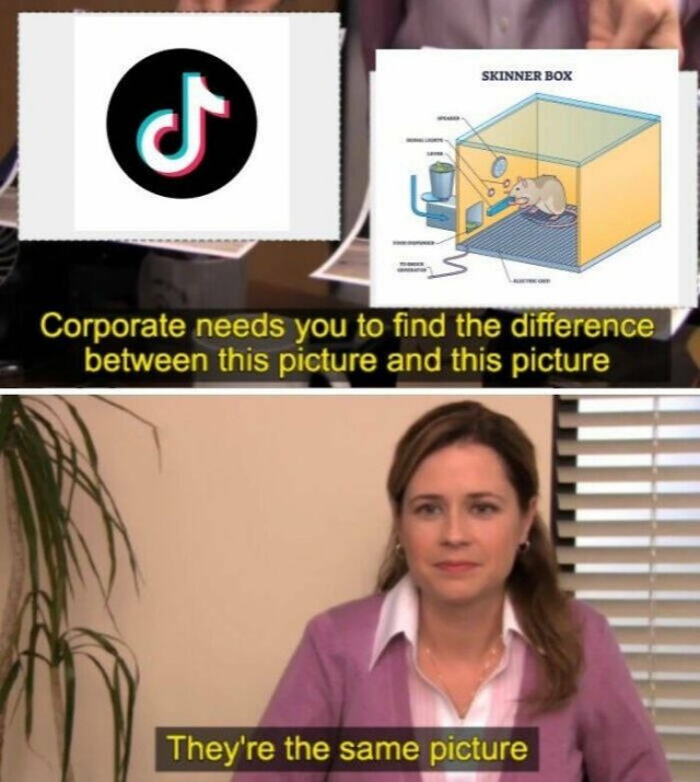 Memes About Psychology (23 pics)