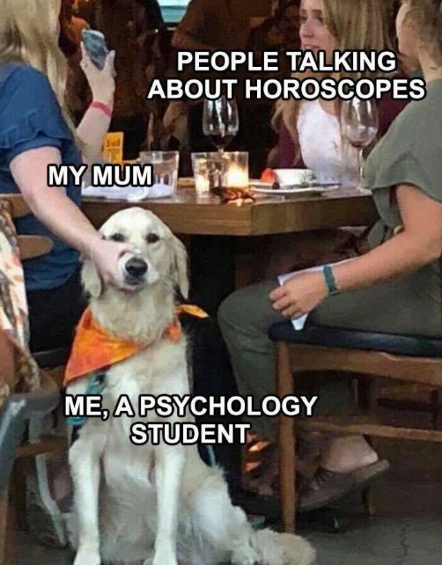 Memes About Psychology (23 pics)