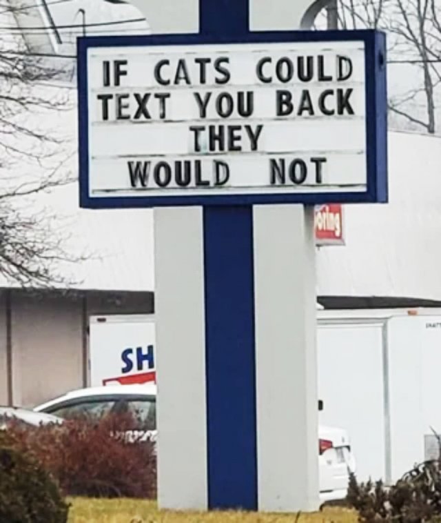 Funny Signs (22 pics)
