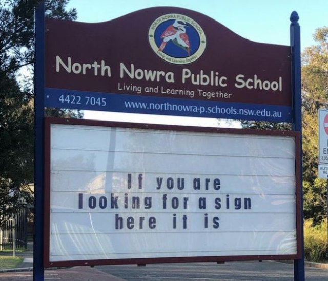 Funny Signs (22 pics)