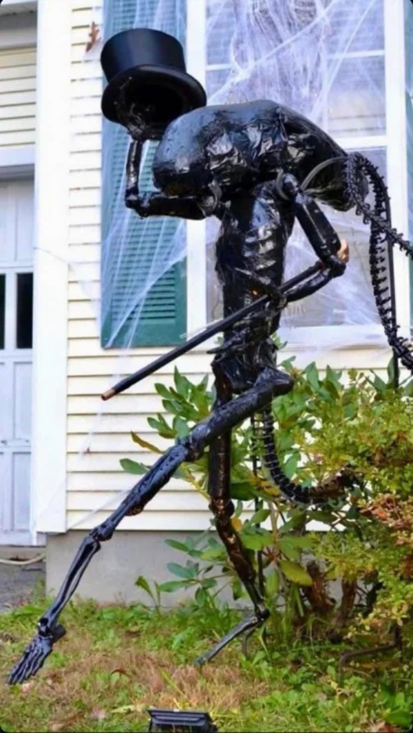 What Is Going On Here? (42 pics)