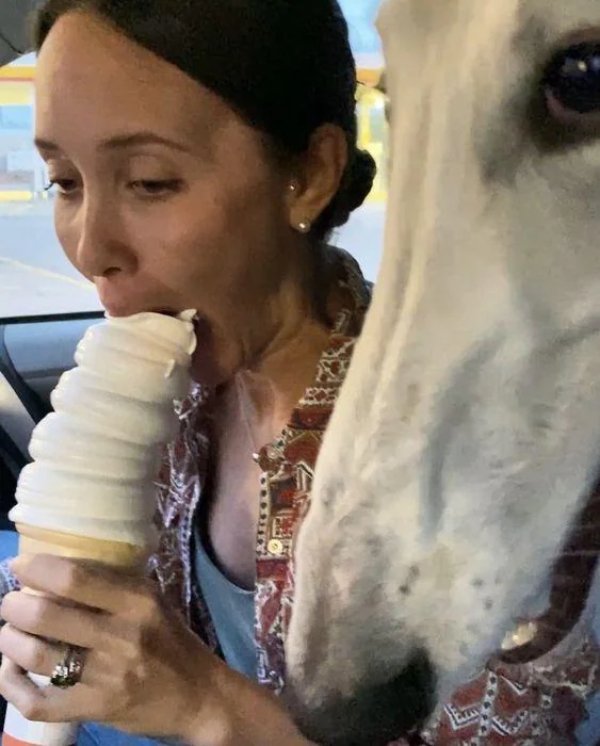What Is Going On Here? (42 pics)
