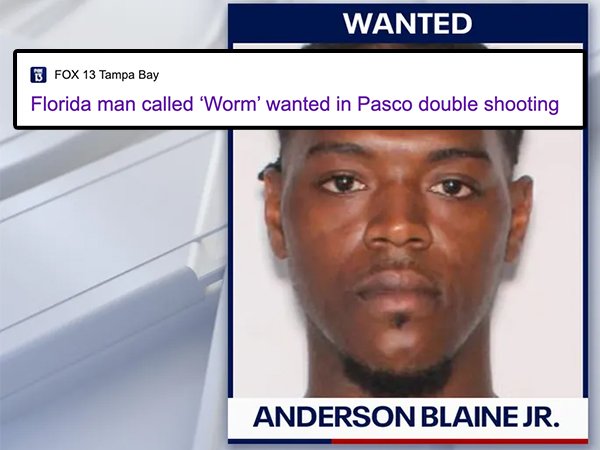What's Happening In Florida? (20 pics)