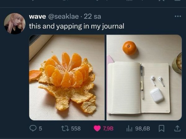 Food Memes (25 pics)