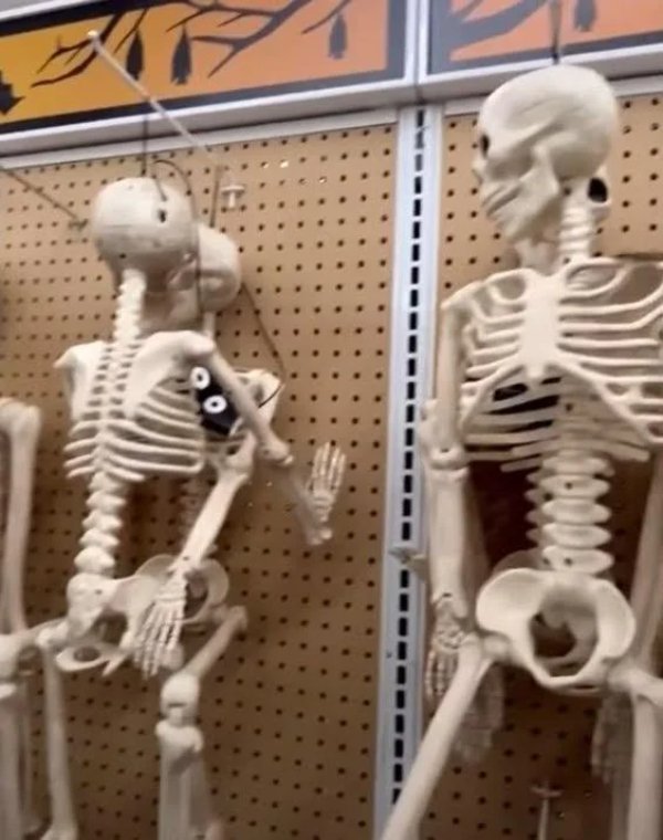 What Is Going On Here? (42 pics)