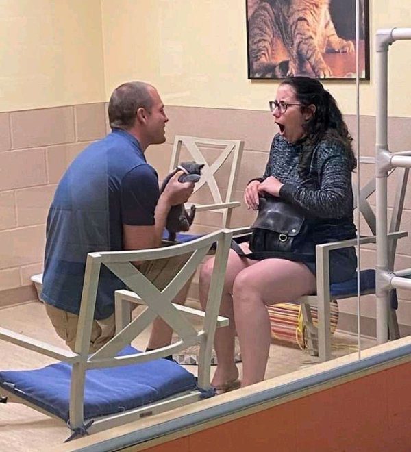 What Is Going On Here? (42 pics)