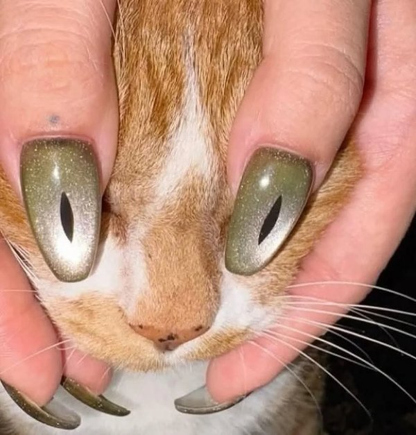 What Is Going On Here? (42 pics)