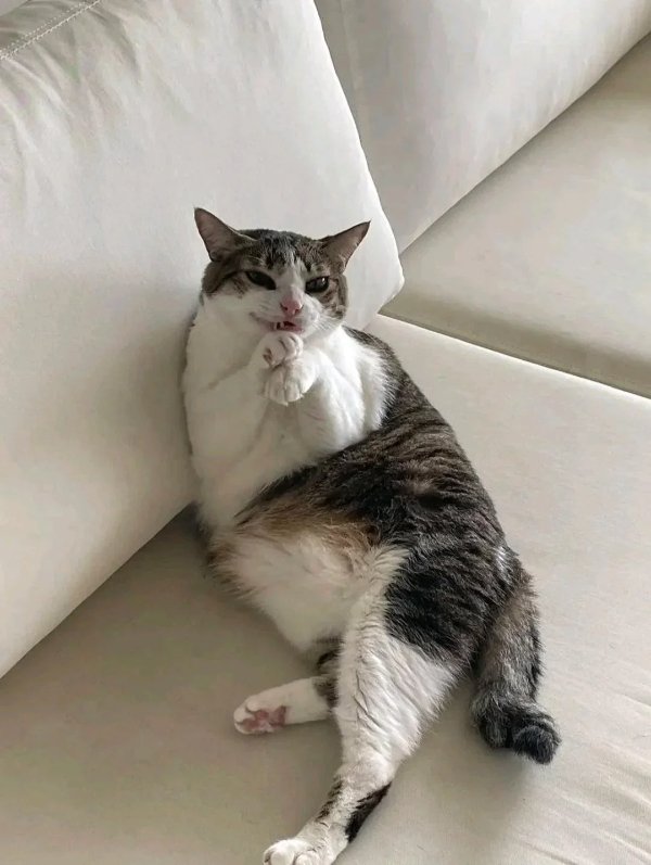 What Is Going On Here? (42 pics)