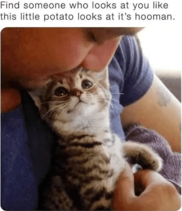 Kind Memes (31 pics) Kind Memes (31 pics)