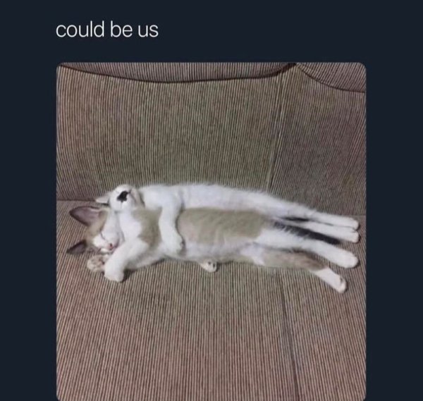 Kind Memes (31 pics) Kind Memes (31 pics)