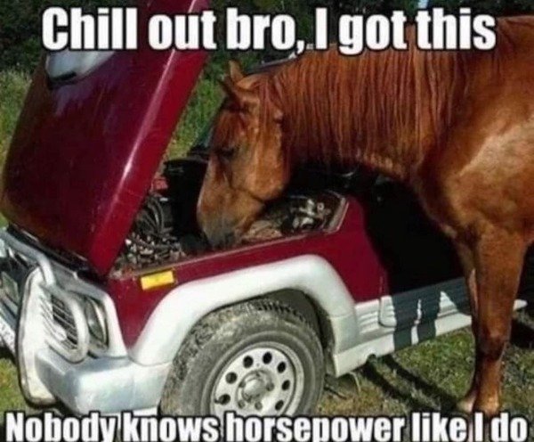 Funny Memes (32 pics) Funny Memes (32 pics)