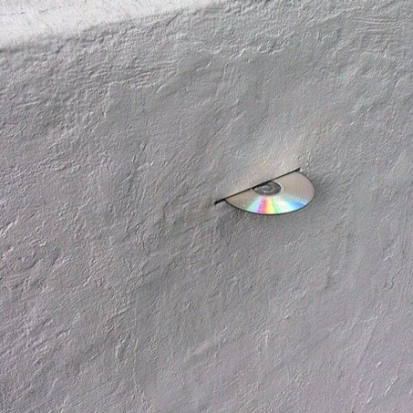 Strange Finds And Situations (19 pics) Strange Finds And Situations (19 pics)