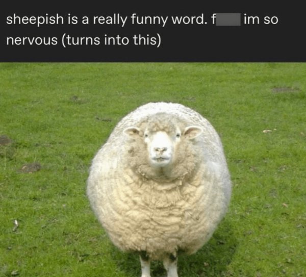 Kind Memes (31 pics) Kind Memes (31 pics)