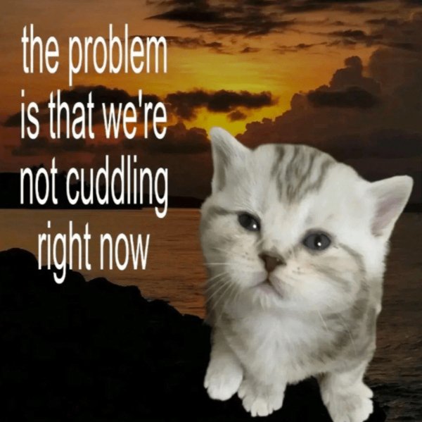 Kind Memes (31 pics) Kind Memes (31 pics)