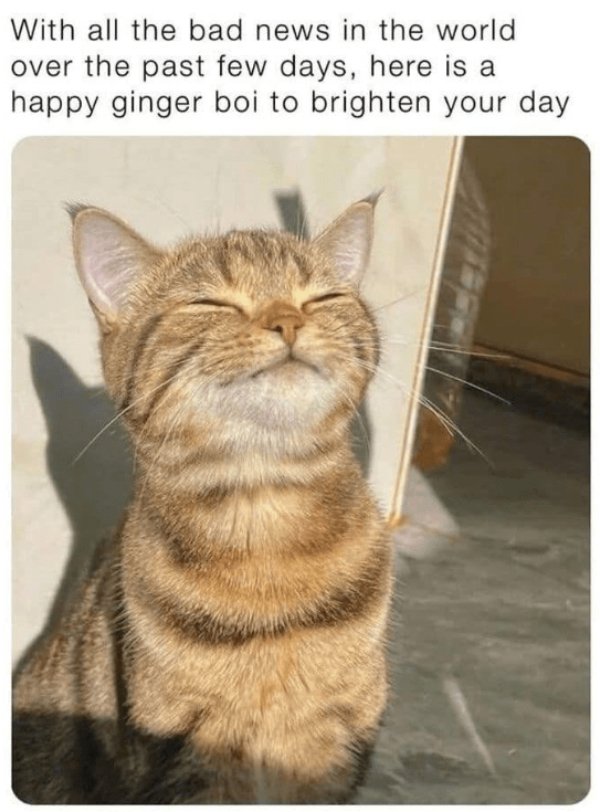 Kind Memes (31 pics) Kind Memes (31 pics)