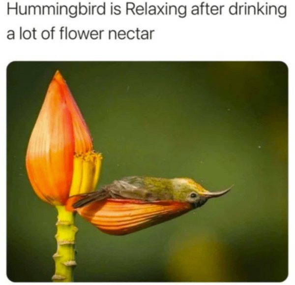 Kind Memes (31 pics) Kind Memes (31 pics)