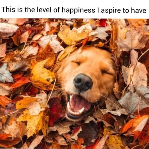 Kind Memes (31 pics) Kind Memes (31 pics)