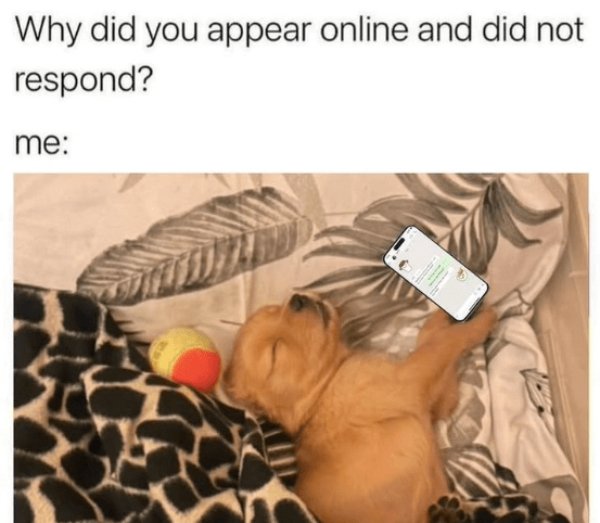 Memes For Introverts (35 pics) Memes For Introverts (35 pics)