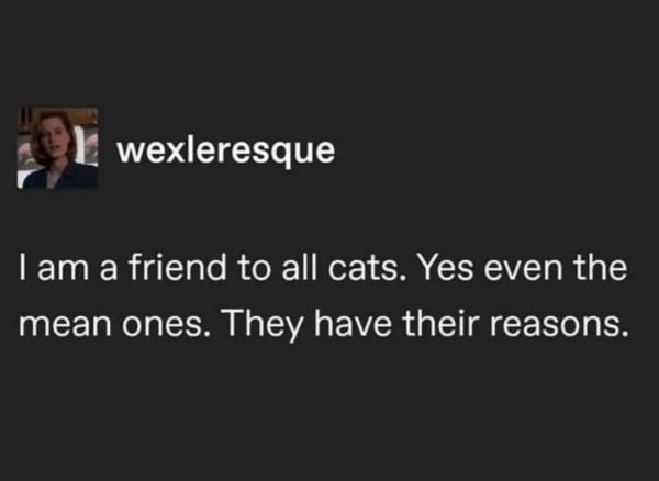 Kind Memes (31 pics) Kind Memes (31 pics)