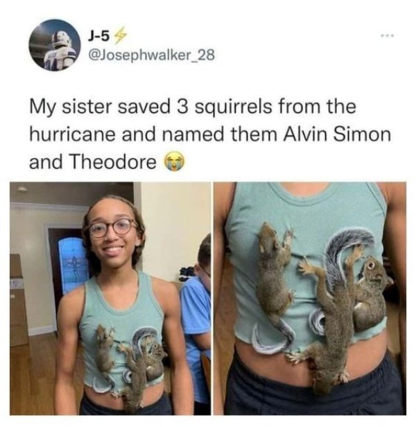 Kind Memes (31 pics) Kind Memes (31 pics)
