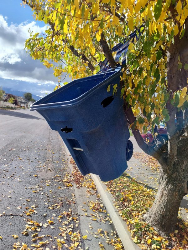 Bad Days Happen (25 pics)