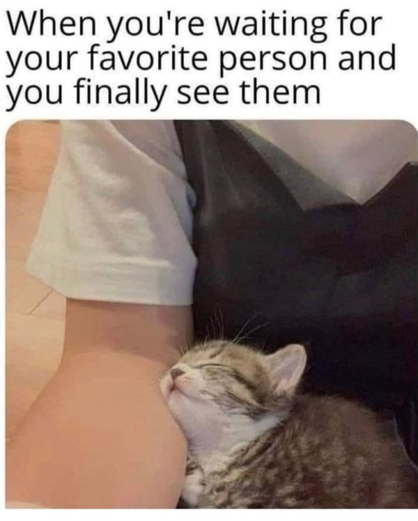 Kind Memes (31 pics) Kind Memes (31 pics)