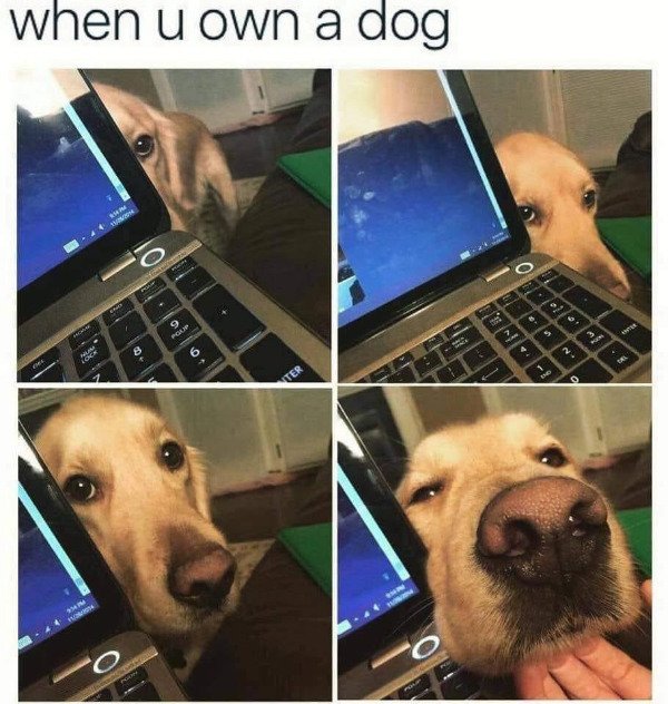 Funny Memes (32 pics) Funny Memes (32 pics)